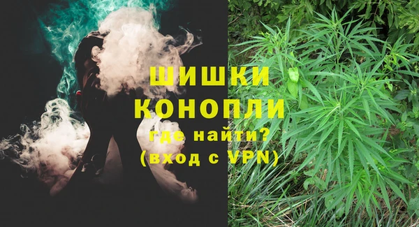 сатива Вяземский
