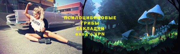 a pvp Каменка