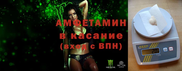 сатива Вяземский
