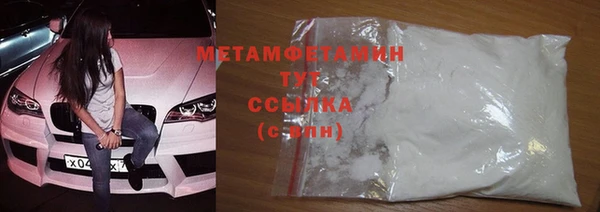 сатива Вяземский