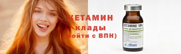 сатива Вяземский