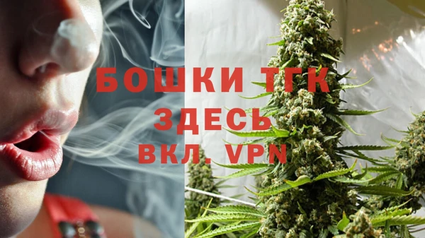 сатива Вяземский