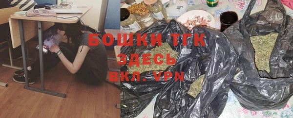 сатива Вяземский