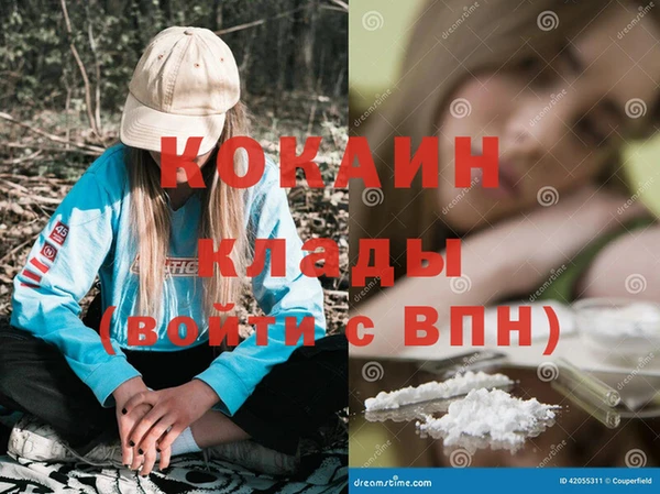 сатива Вяземский