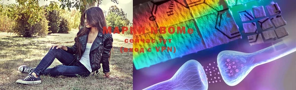индика Каменногорск