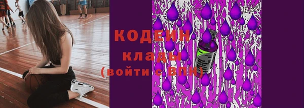 сатива Вяземский
