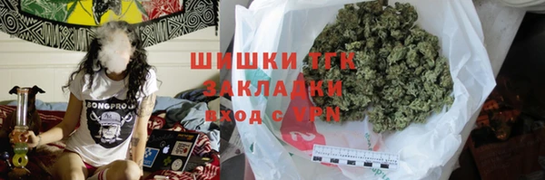 сатива Вяземский