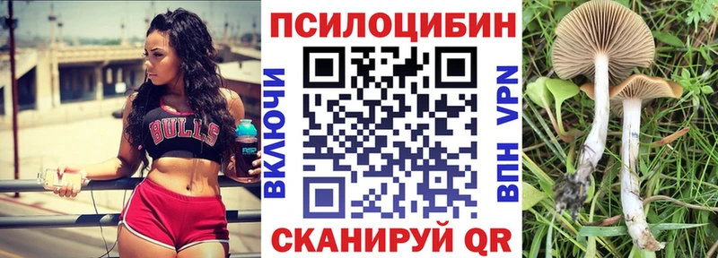 Псилоцибиновые грибы ЛСД  мега сайт  нарко площадка Telegram  Зеленоградск 